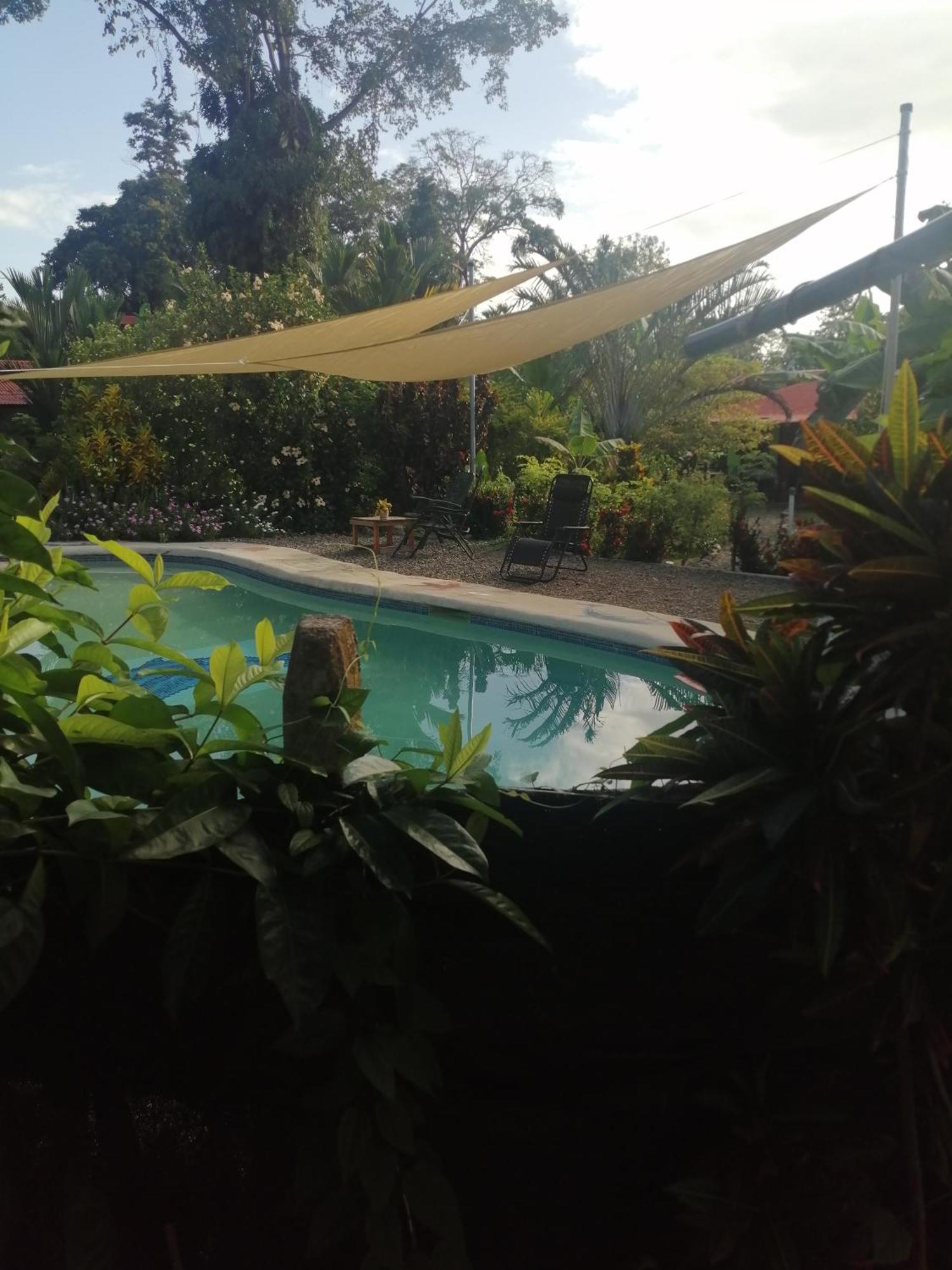 Cabinas Los Tucanes Cahuita Room photo