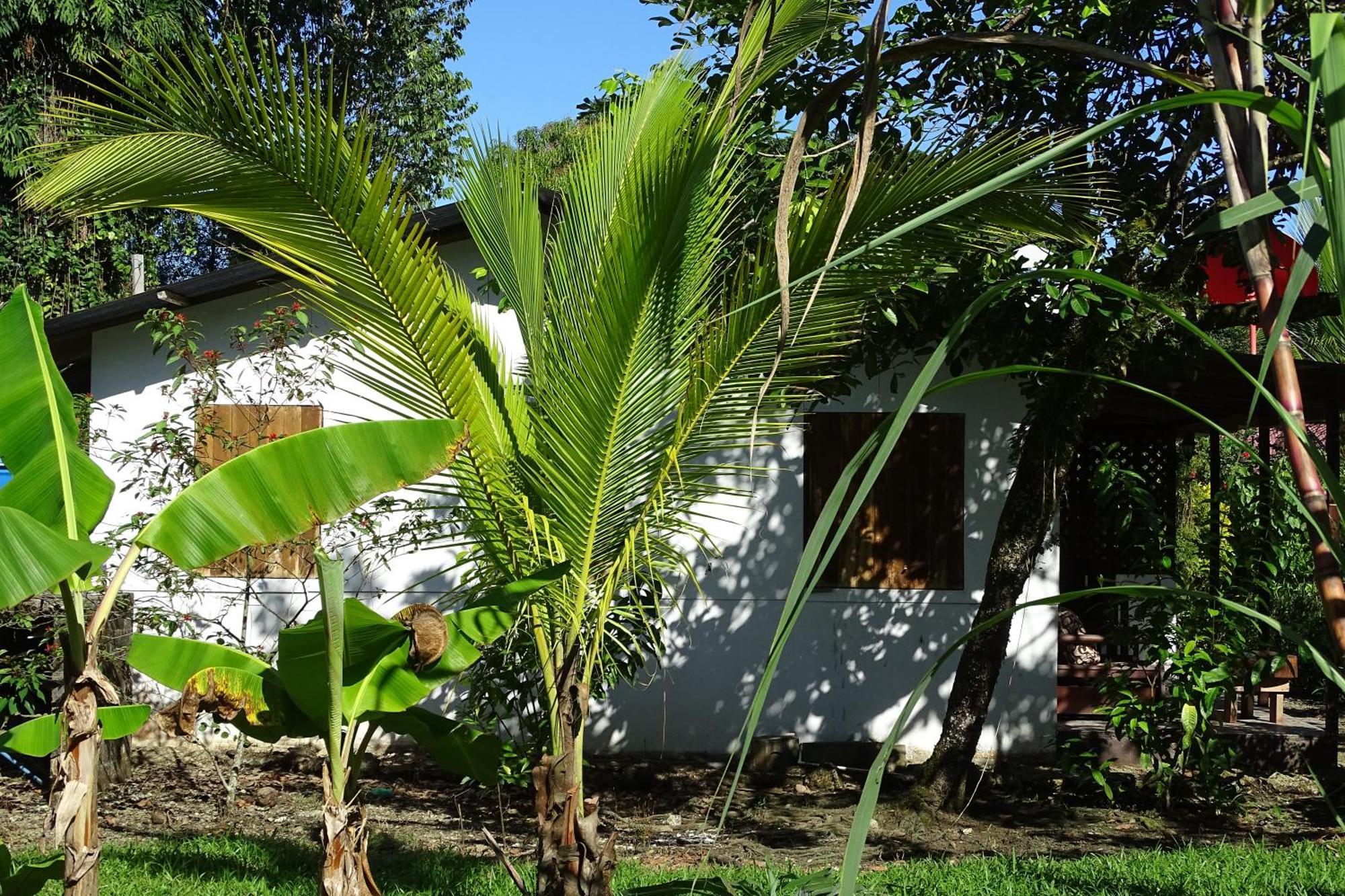 Cabinas Los Tucanes Cahuita Exterior photo