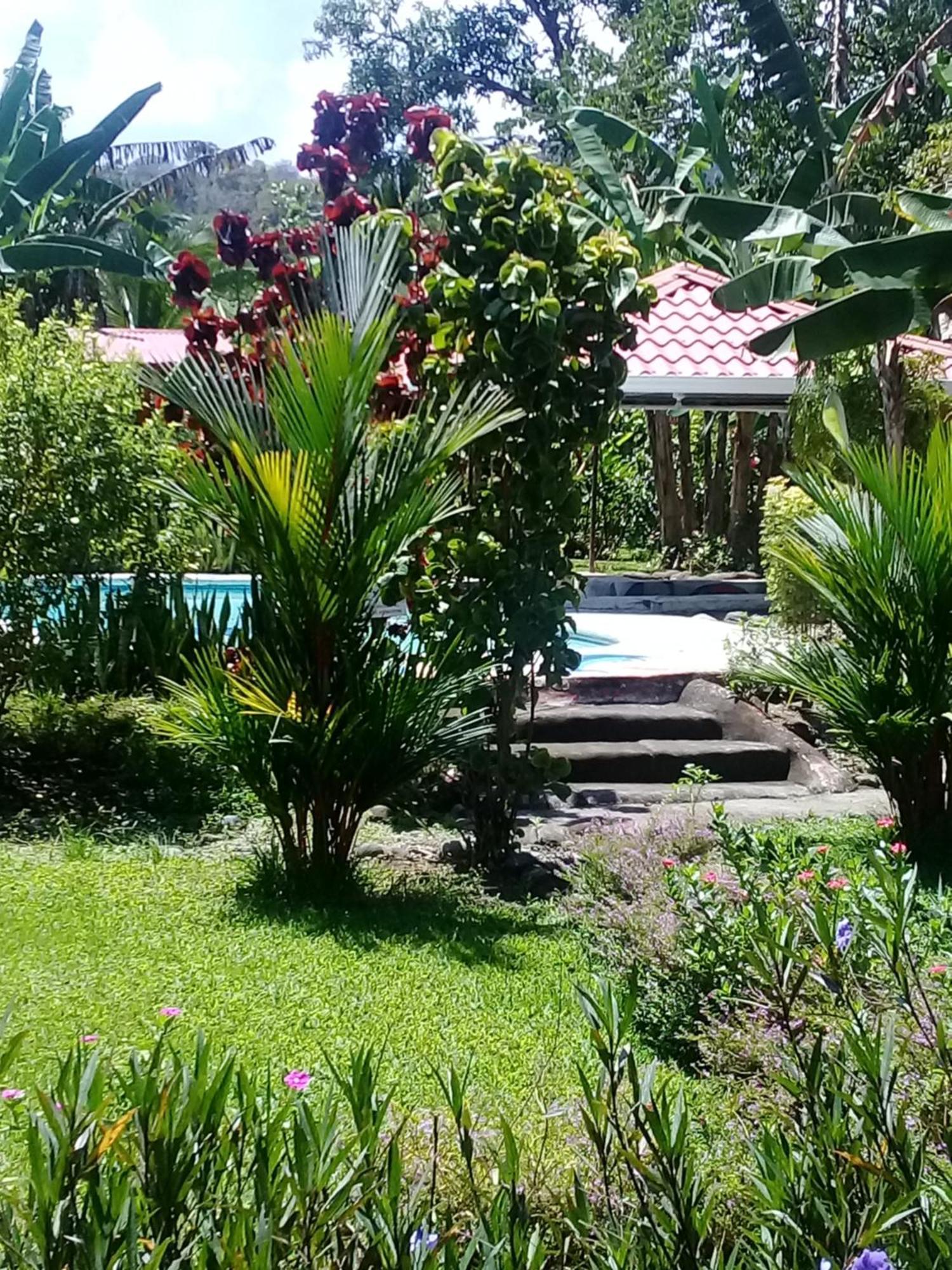 Cabinas Los Tucanes Cahuita Exterior photo
