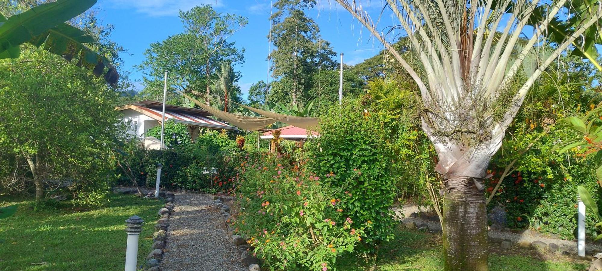 Cabinas Los Tucanes Cahuita Exterior photo